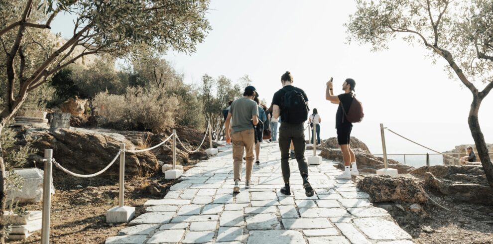 pexels-bertellifotografia-15141438